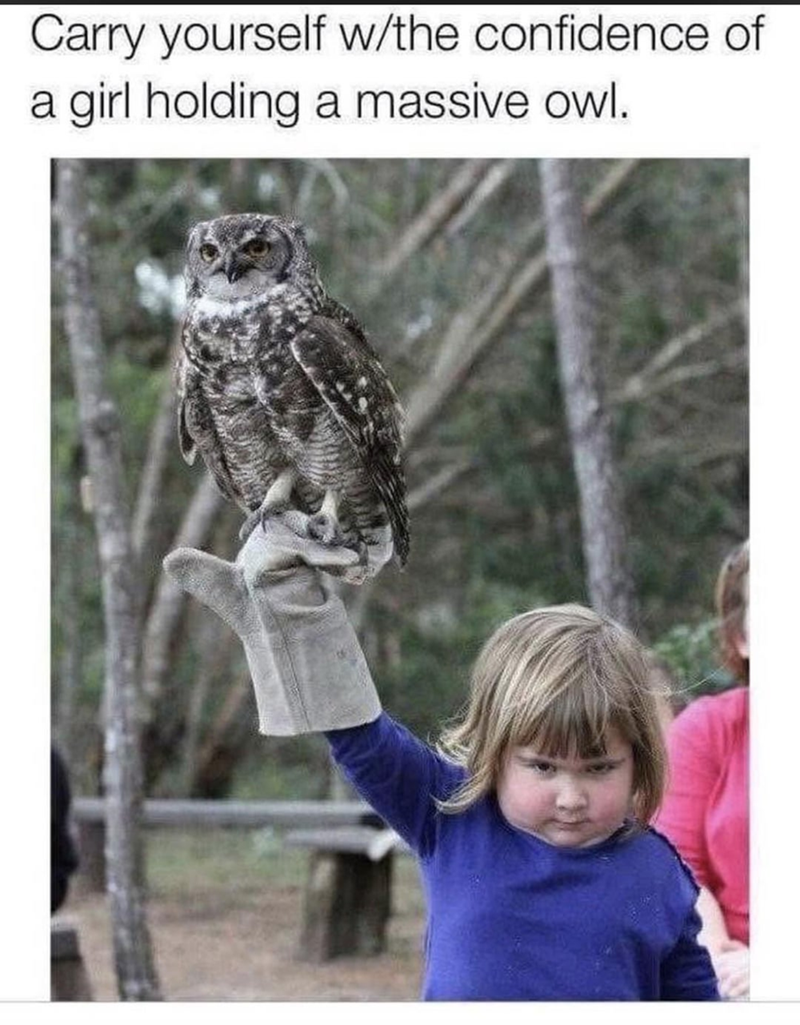 Carry yourself w/the confidence of a girl holding a massive owl.