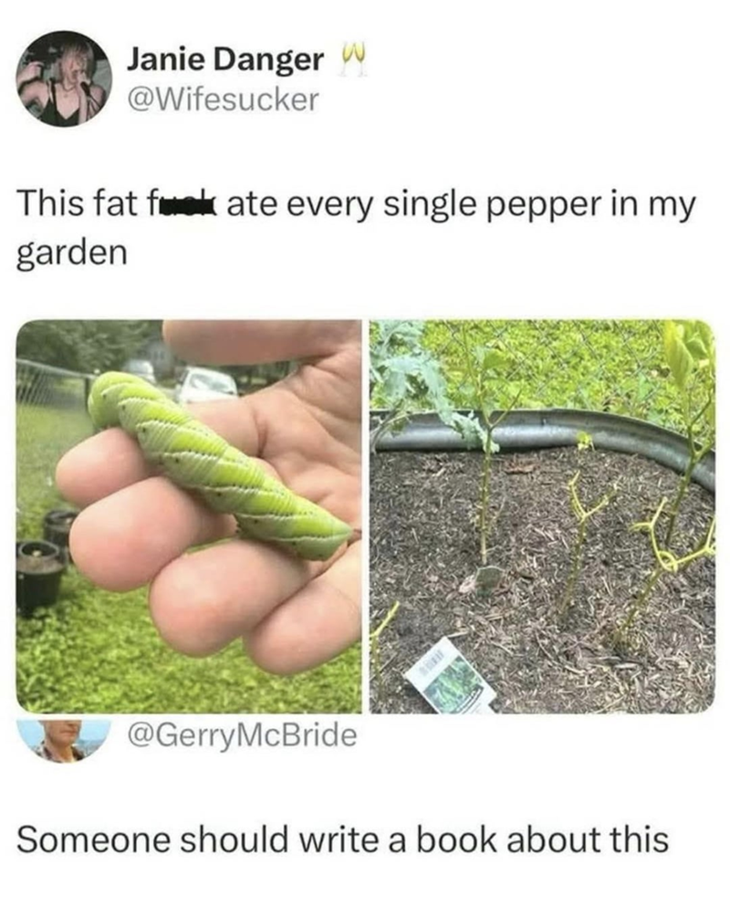 Janie Danger @Wifesucker This fat fate every single pepper in my garden @GerryMcBride Someone should write a book about this
