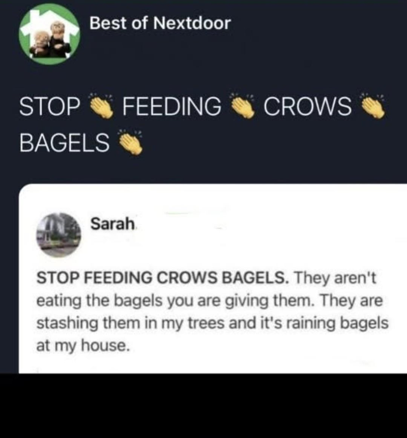 Best of Nextdoor STOP FEEDING CROWS BAGELS Sarah STOP FEEDING CROWS BAGELS. They aren't eating the bagels you are giving them. They are stashing them in my trees and it's raining bagels at my house.