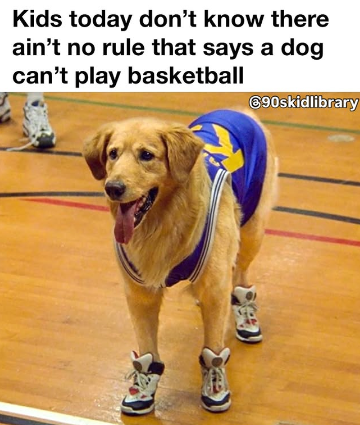 Kids today don't know there ain't no rule that says a dog can't play basketball €90skidlibrary