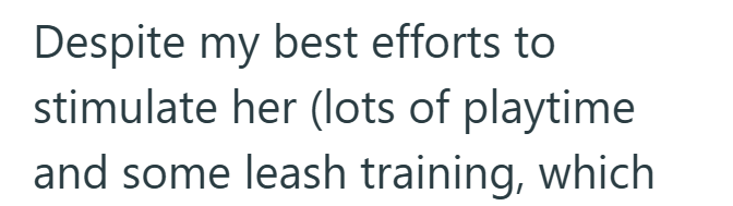 Despite my best efforts to stimulate her (lots of playtime and some leash training, which