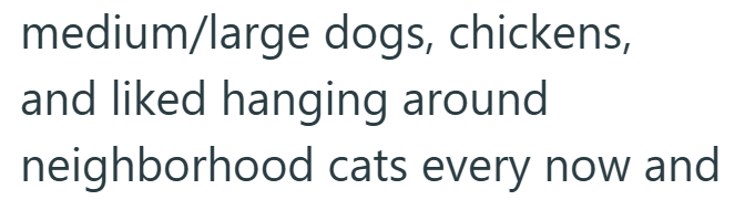 medium/large dogs, chickens, and liked hanging around neighborhood cats every now and