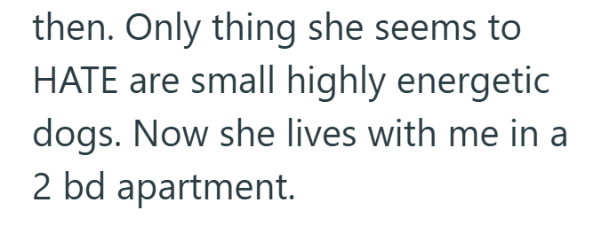 then. Only thing she seems to HATE are small highly energetic dogs. Now she lives with me in a 2 bd apartment.