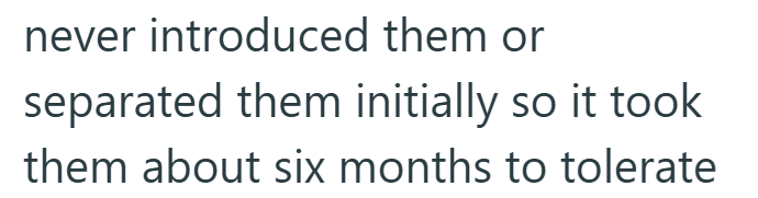 never introduced them or separated them initially so it took them about six months to tolerate