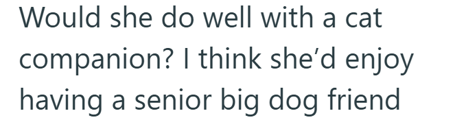 Would she do well with a cat companion? I think she'd enjoy having a senior big dog friend