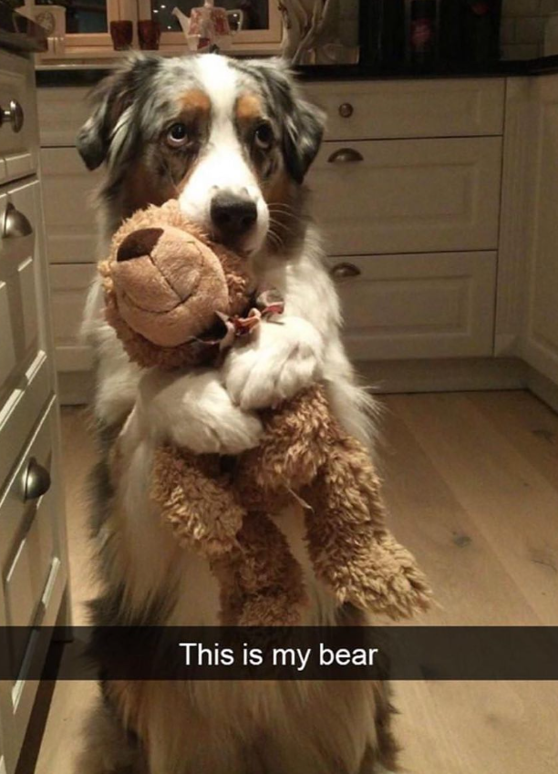 This is my bear