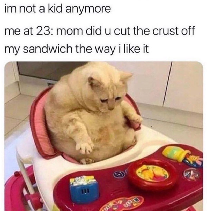 im not a kid anymore me at 23: mom did u cut the crust off my sandwich the way i like it COPEN