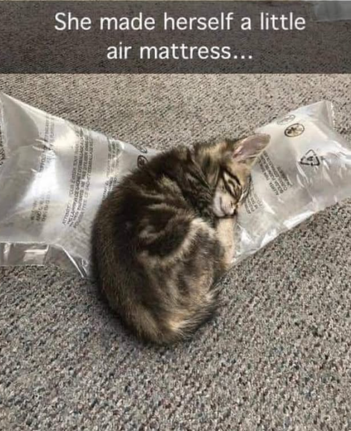 AND Ared us Eat 7 She made herself a little air mattress...