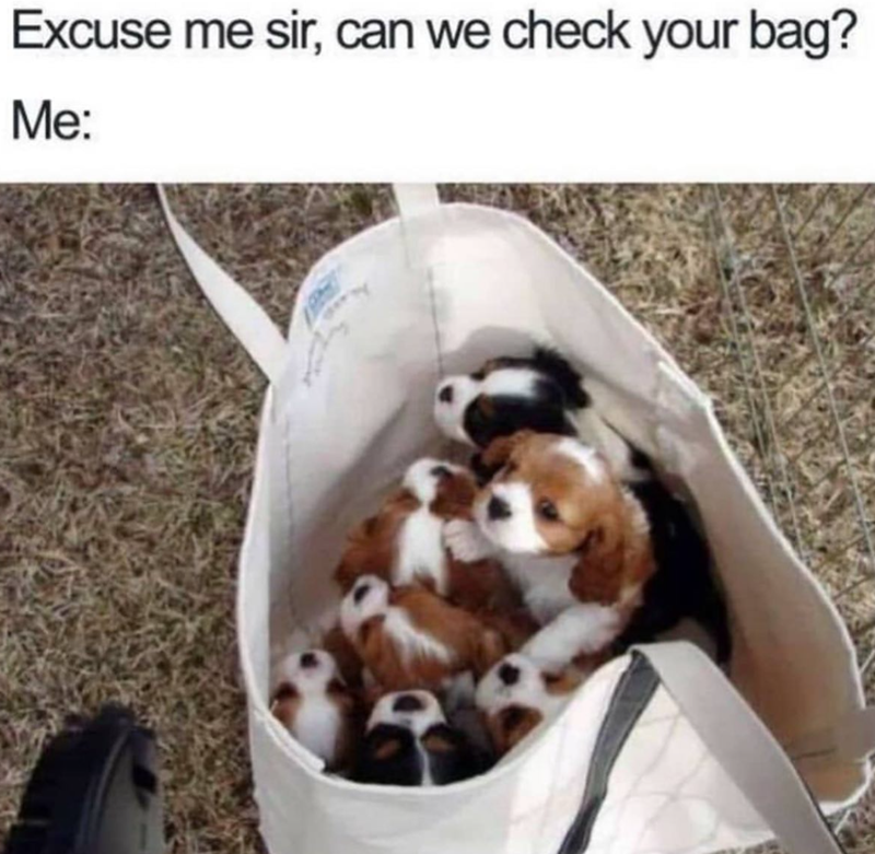Excuse me sir, can we check your bag? Me: