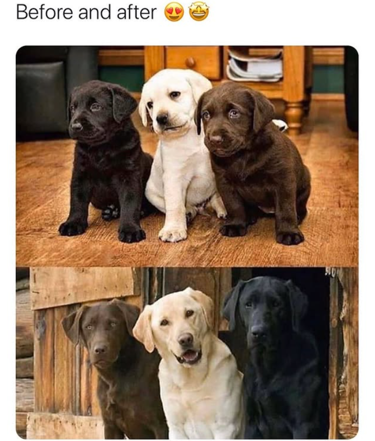 Before and after