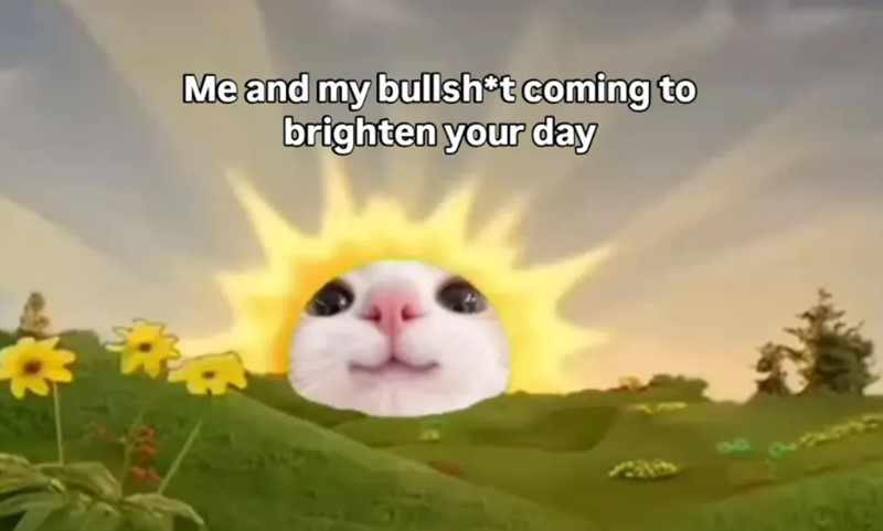 Me and my bullsh*t coming to brighten your day