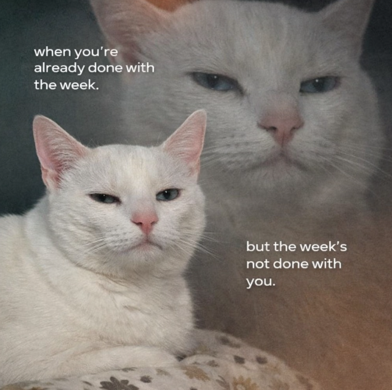 when you're already done with the week. but the week's not done with you.
