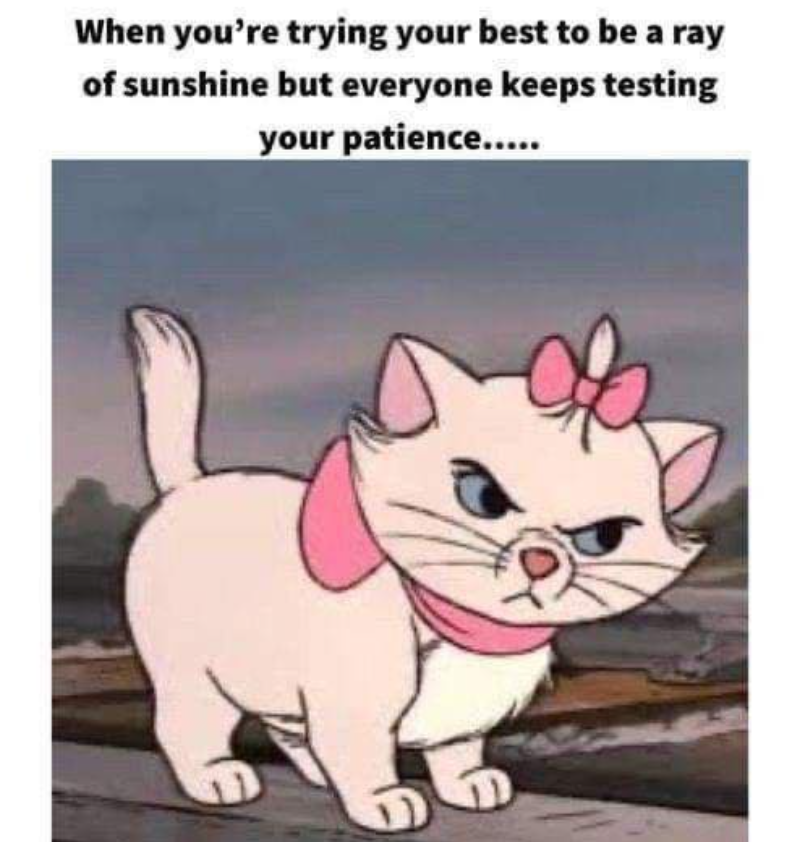 When you're trying your best to be a ray of sunshine but everyone keeps testing your patience.....