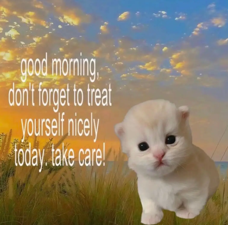 good morning don't forget to treat yourself nicely today, take care!