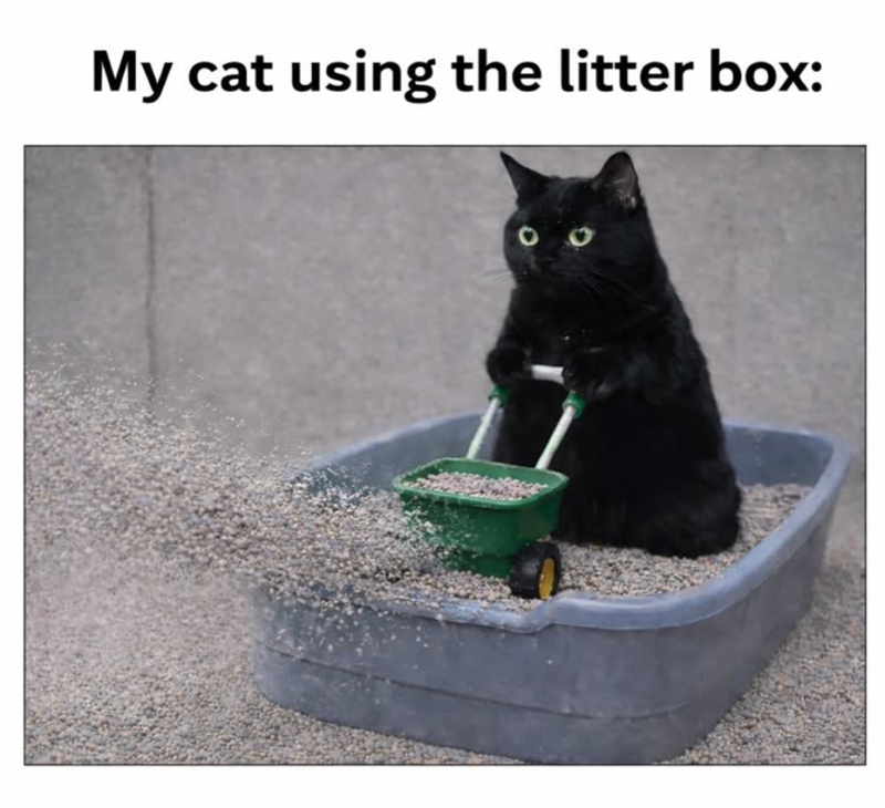 My cat using the litter box: 00