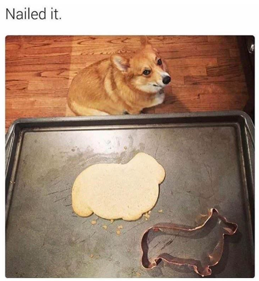 Nailed it.