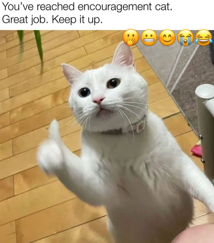 You've reached encouragement cat. Great job. Keep it up.