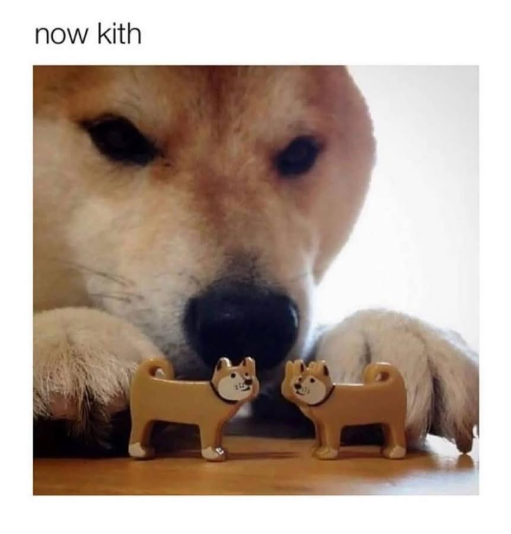 now kith