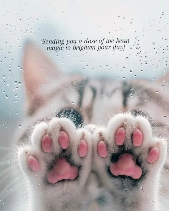 Sending you a dose of toe bean magic to brighten your day!