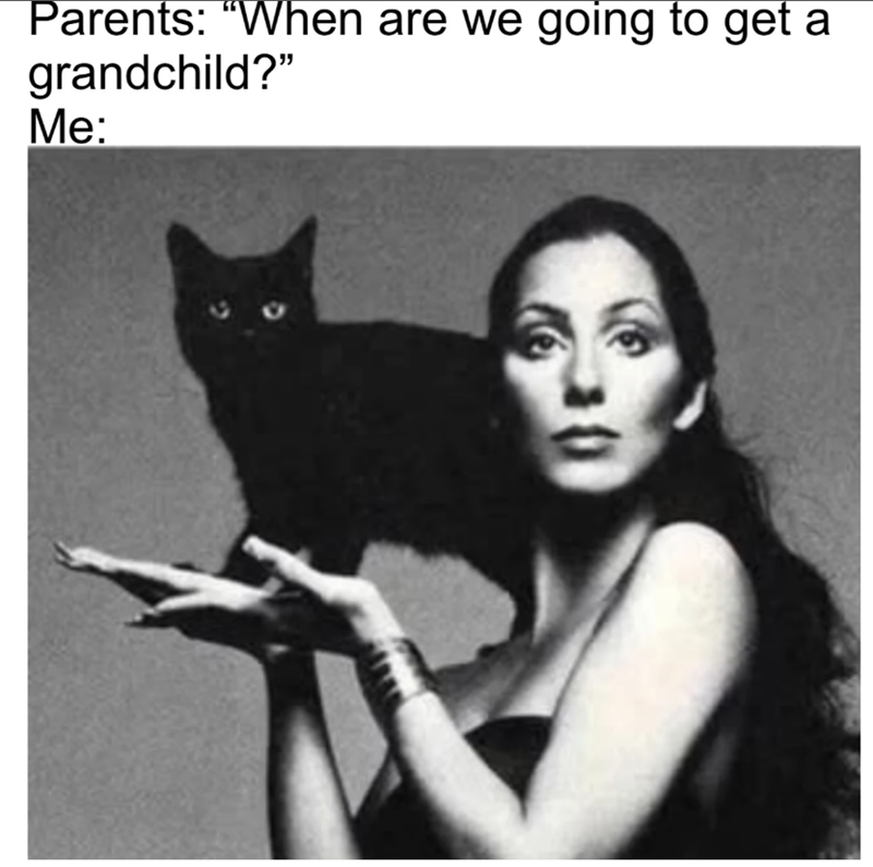 Parents: "When are we going to get a grandchild?" Me: