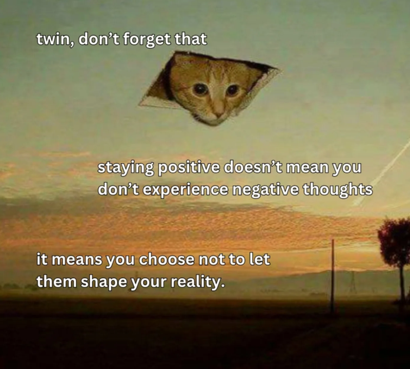 twin, don't forget that staying positive doesn't mean you don't experience negative thoughts it means you choose not to let them shape your reality.