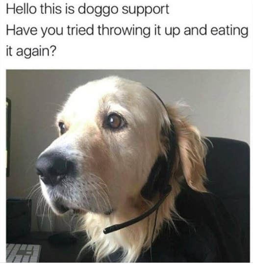 Hello this is doggo support Have you tried throwing it up and eating it again?