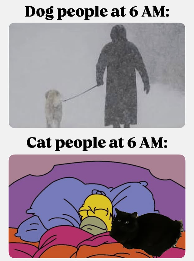Dog people at 6 AM: Cat people at 6 AM: