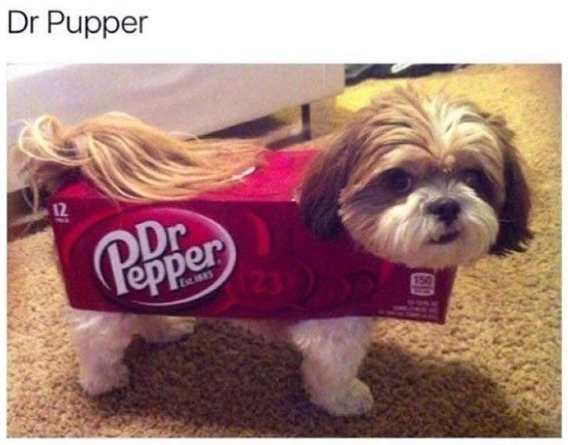 Dr Pupper 12 Pepper 123