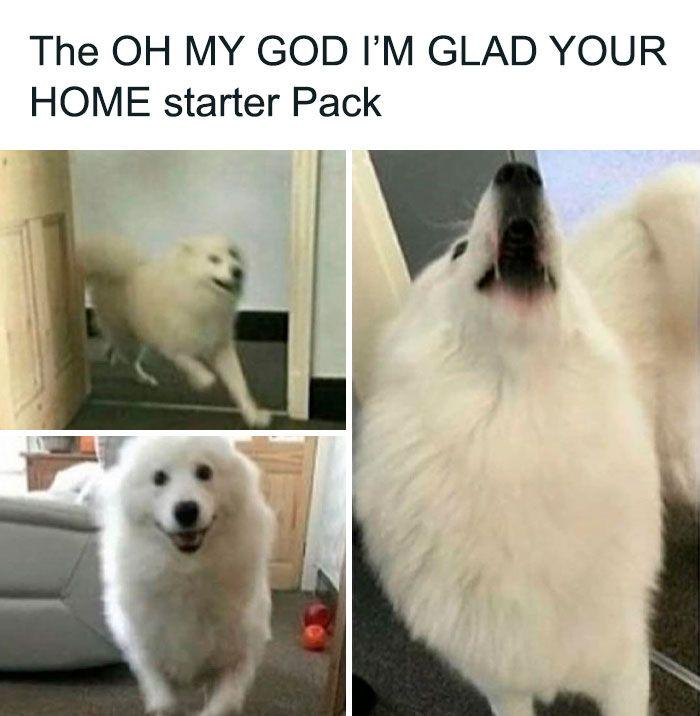 The OH MY GOD I'M GLAD YOUR HOME starter Pack