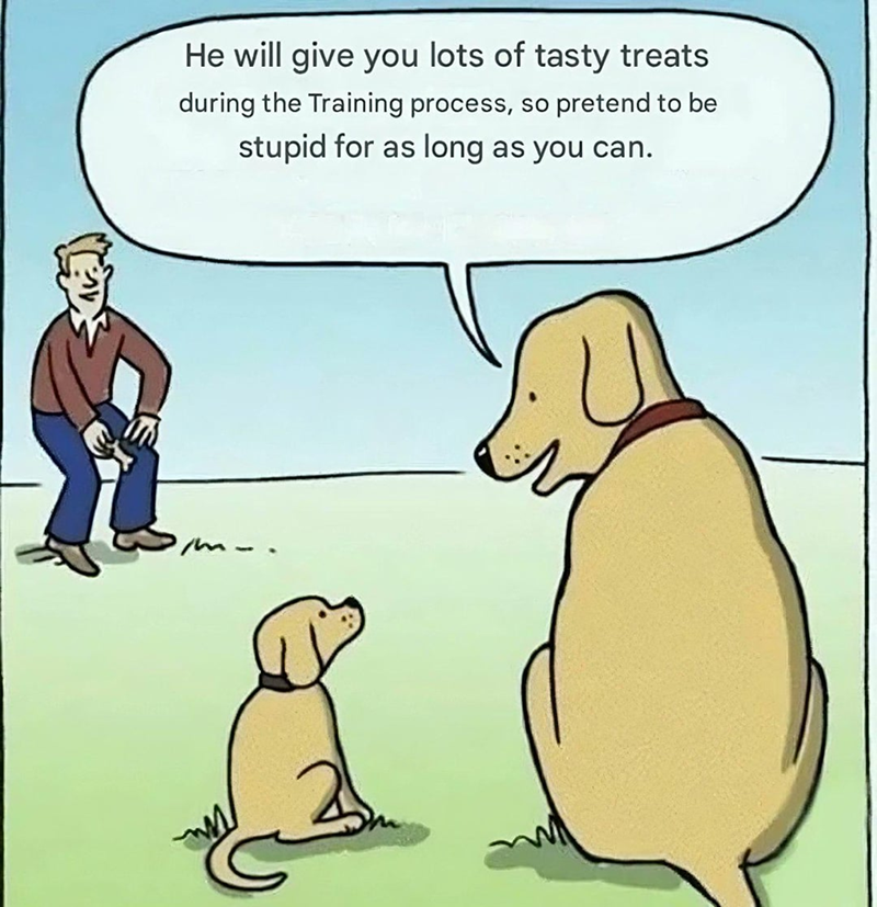 He will give you lots of tasty treats during the Training process, so pretend to be stupid for as long as you can.