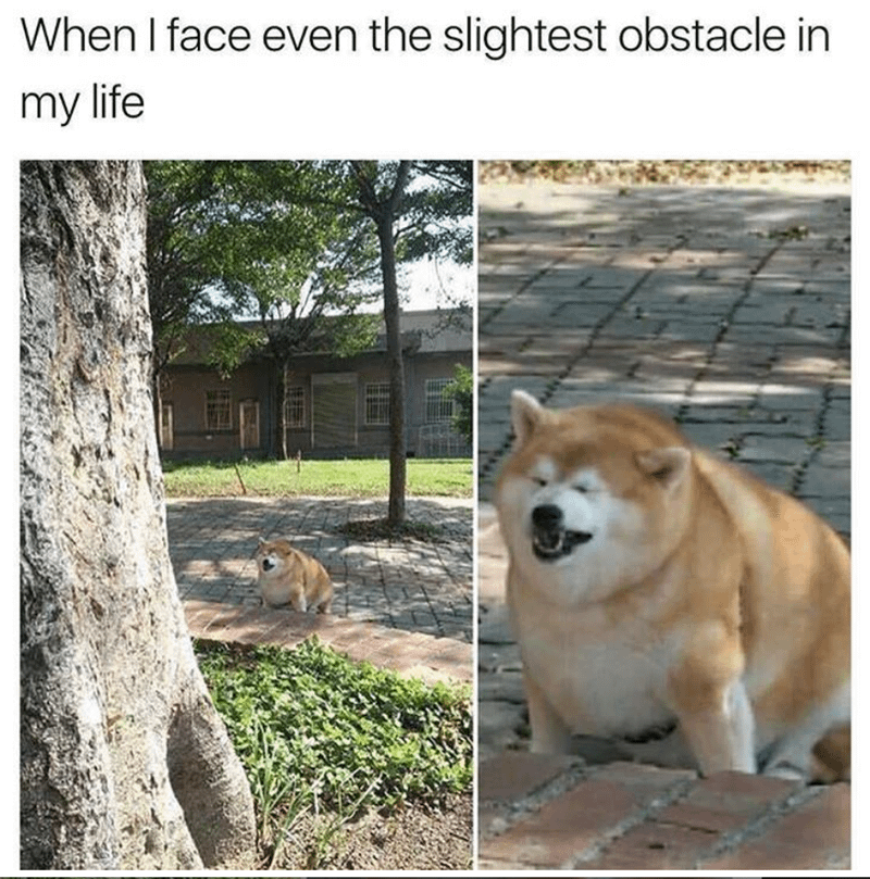When I face even the slightest obstacle in my life