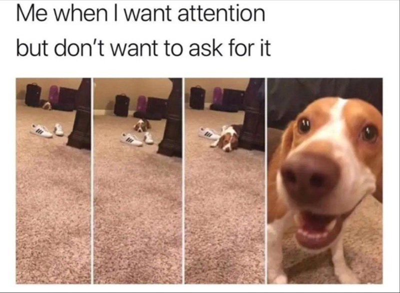 Me when I want attention but don't want to ask for it