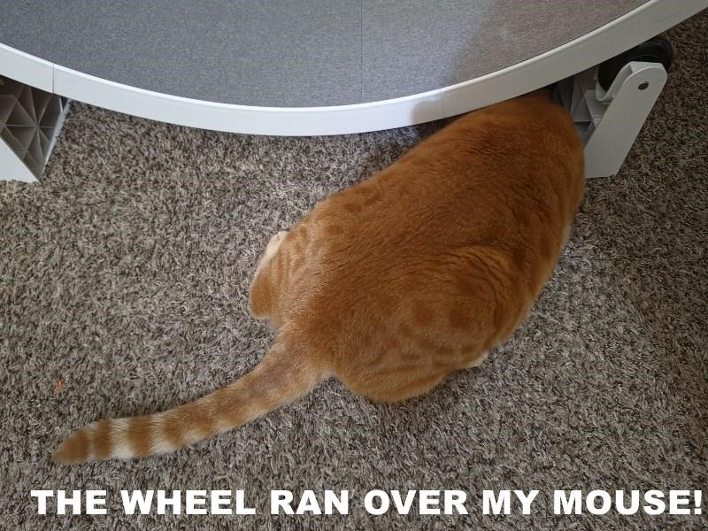 THE WHEEL RAN OVER MY MOUSE!