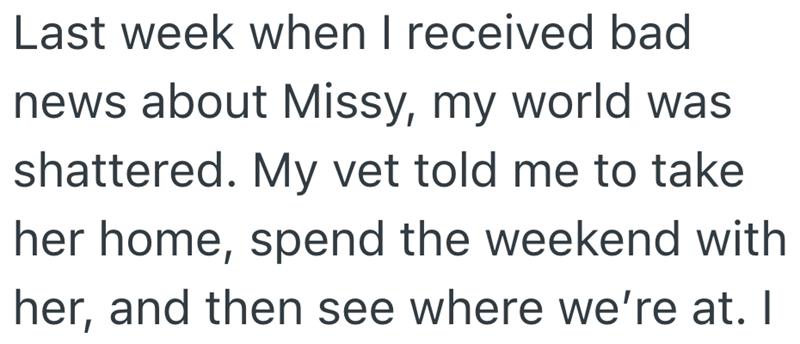 Last week when I received bad news about Missy, my world was shattered. My vet told me to take her home, spend the weekend with her, and then see where we're at. I