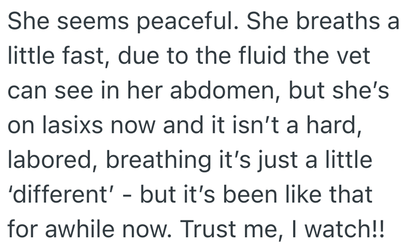 She seems peaceful. She breaths a little fast, due to the fluid the vet can see in her abdomen, but she's on lasixs now and it isn't a hard, labored, breathing it's just a little 'different' - but it's been like that for awhile now. Trust me, I watch!!