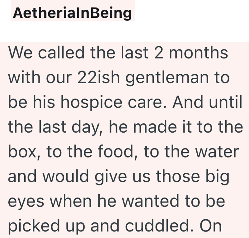 AetherialnBeing We called the last 2 months with our 22ish gentleman to be his hospice care. And until the last day, he made it to the box, to the food, to the water and would give us those big eyes when he wanted to be picked up and cuddled. On