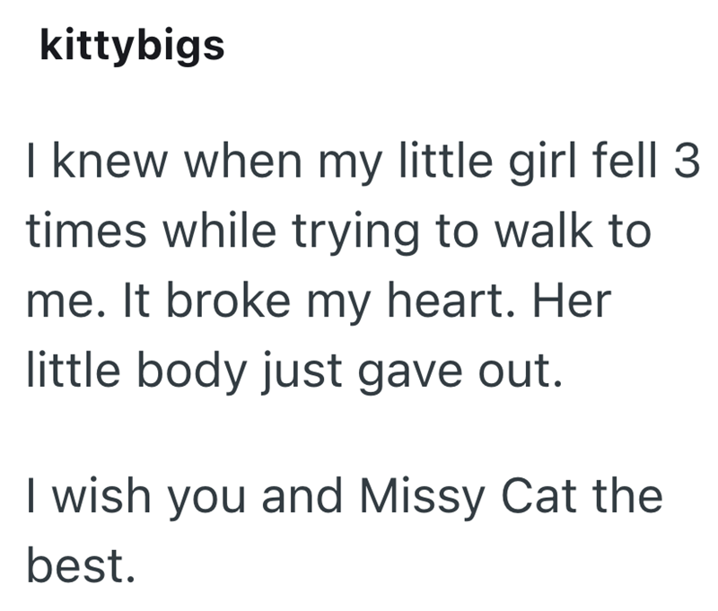 kittybigs I knew when my little girl fell 3 times while trying to walk to me. It broke my heart. Her little body just gave out. I wish you and Missy Cat the best.