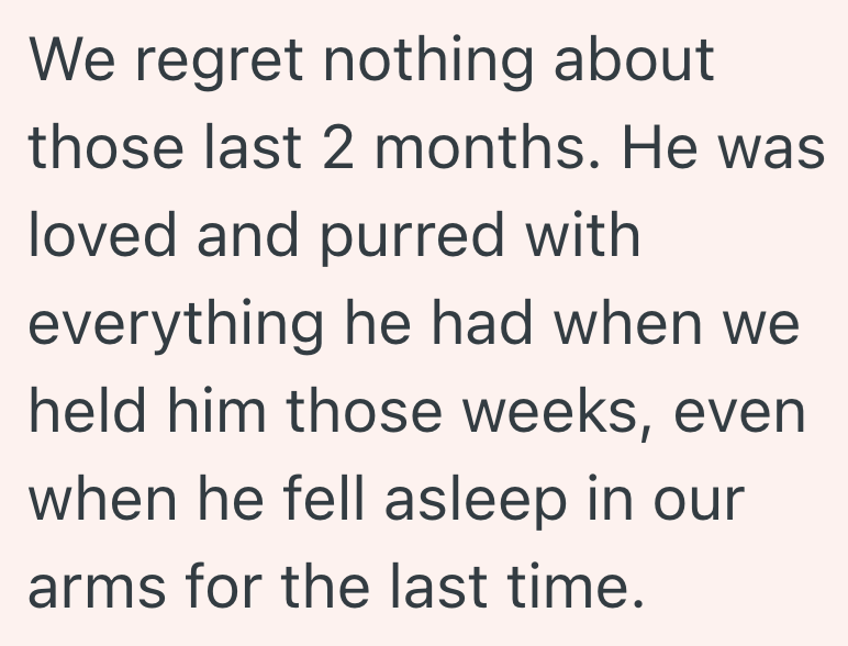 We regret nothing about those last 2 months. He was loved and purred with everything he had when we held him those weeks, even when he fell asleep in our arms for the last time.