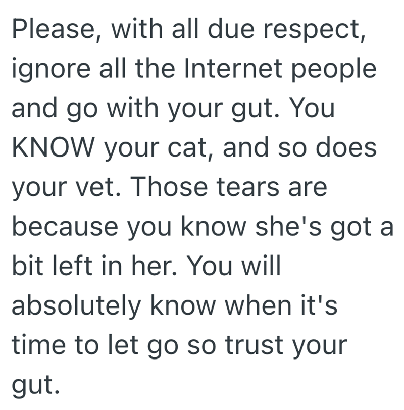 Please, with all due respect, ignore all the Internet people and go with your gut. You KNOW your cat, and so does your vet. Those tears are because you know she's got a bit left in her. You will absolutely know when it's time to let go so trust your gut.