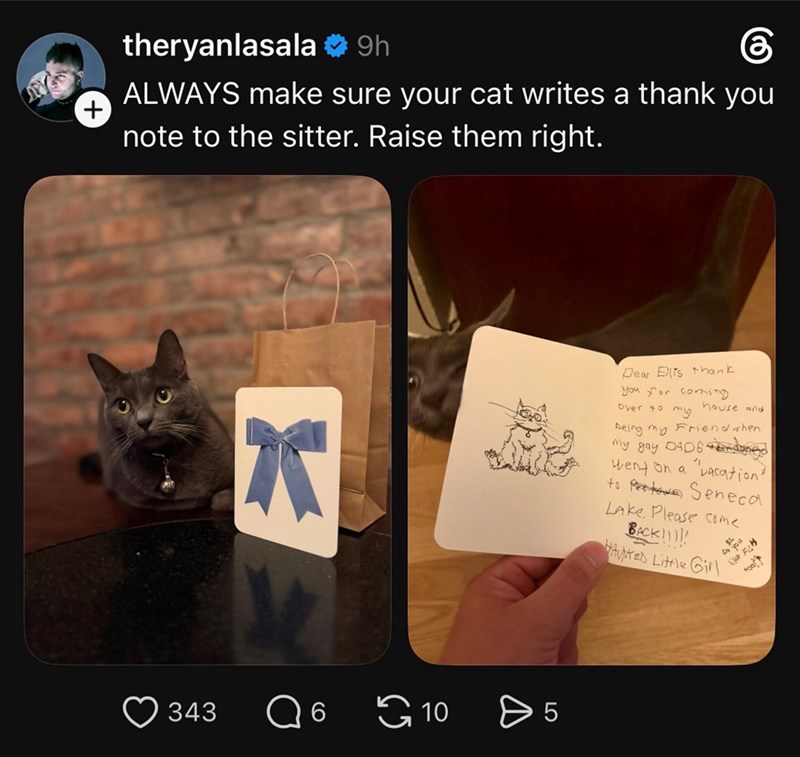 theryanlasala ❤9h கு ALWAYS make sure your cat writes a thank you + note to the sitter. Raise them right. x 343 Q 6 10 > 5 Dear Elts thank you for coming over to house and my being my Friend when my gay DAD6 dangd went on a vacation" to Pertave Seneca Lake. Please come BACK!!!!! HAVED Little Girl like Fish