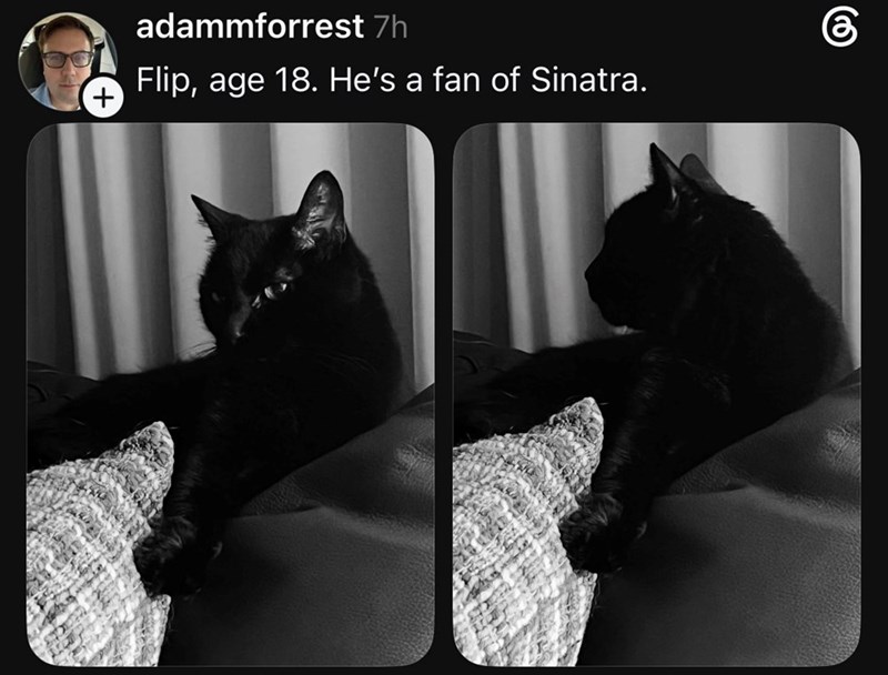 adammforrest 7h Flip, age 18. He's a fan of Sinatra. + கு