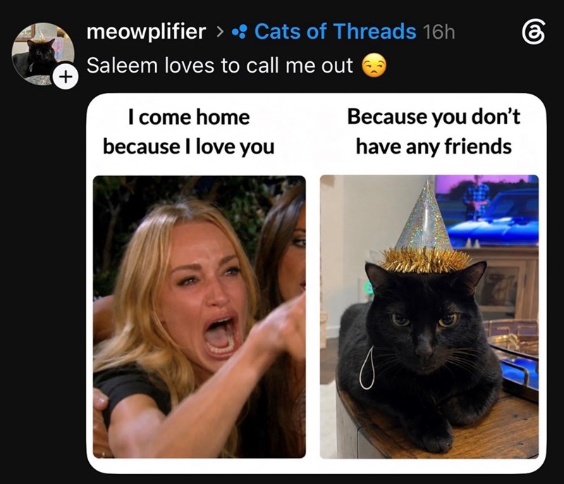 meowplifier > Cats of Threads 16h • Saleem loves to call me out I come home because I love you Because you don't have any friends கு