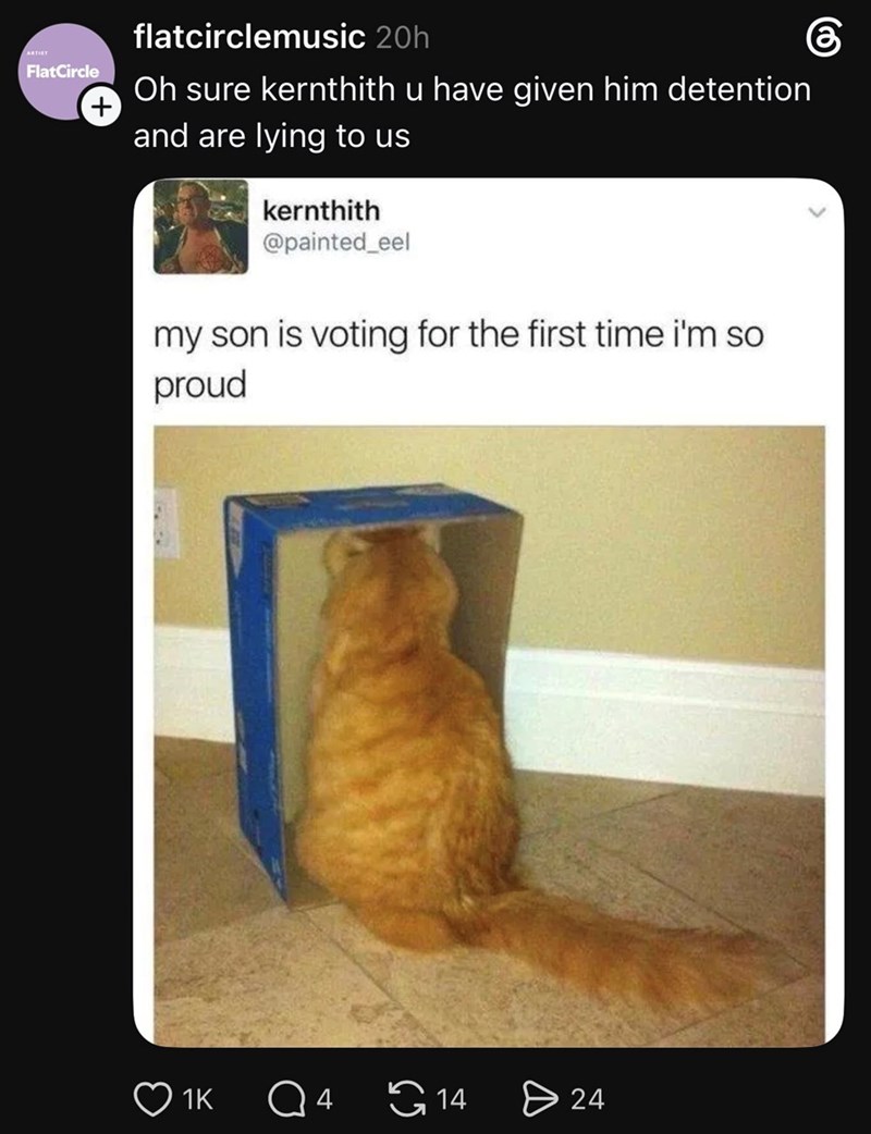 ARTIST FlatCircle + flatcirclemusic 20h Oh sure kernthith u have given him detention and are lying to us kernthith @painted_eel my son is voting for the first time i'm so proud 1K Q 4 14 > 24 ⑥