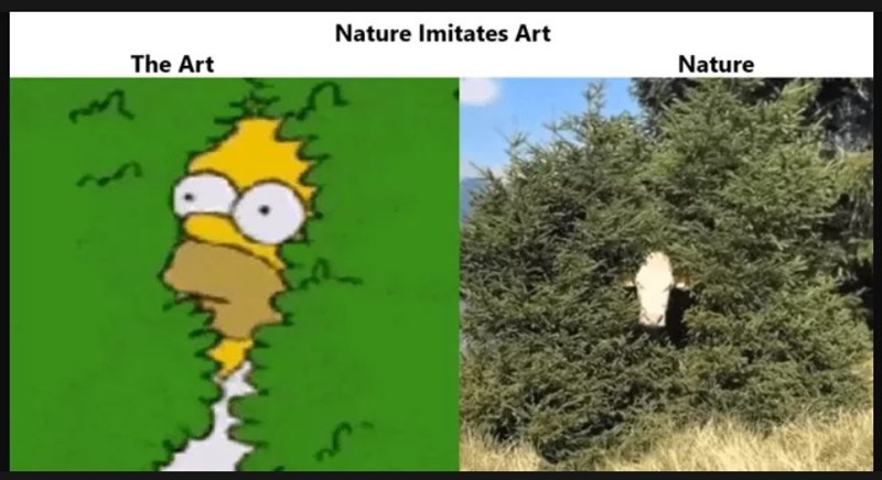 The Art 53 Nature Imitates Art Nature