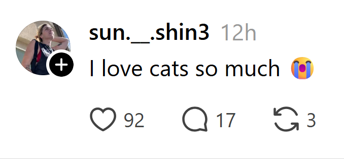 sun.__.shin3 12h + I love cats so much 92 Q 17 65 3