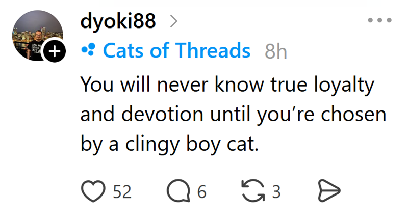 AFALME dyoki88 > (+ Cats of Threads 8h You will never know true loyalty and devotion until you're chosen by a clingy boy cat. 52 ☐ 6 3 Ө