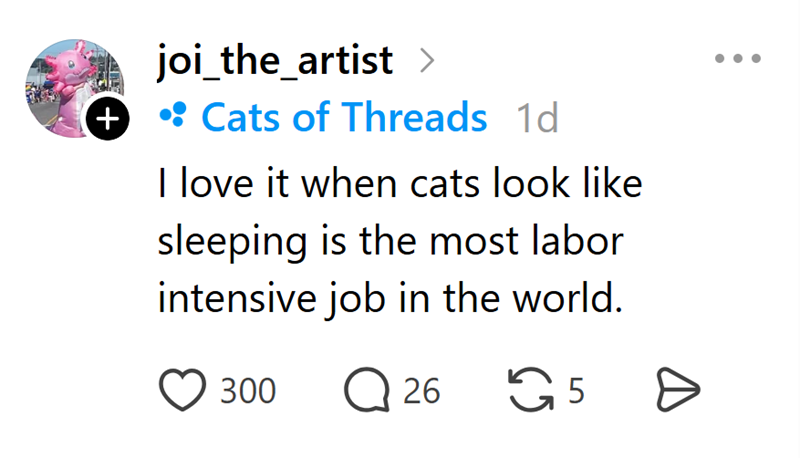 '+ joi_the_artist > • Cats of Threads 1d I love it when cats look like sleeping is the most labor intensive job in the world. 300 Q 26 G5 Ө