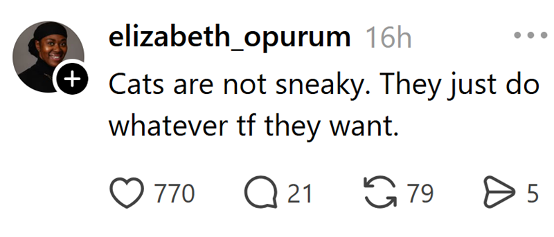elizabeth_opurum 16h + Cats are not sneaky. They just do whatever tf they want. 770 Q 21 79 > 5