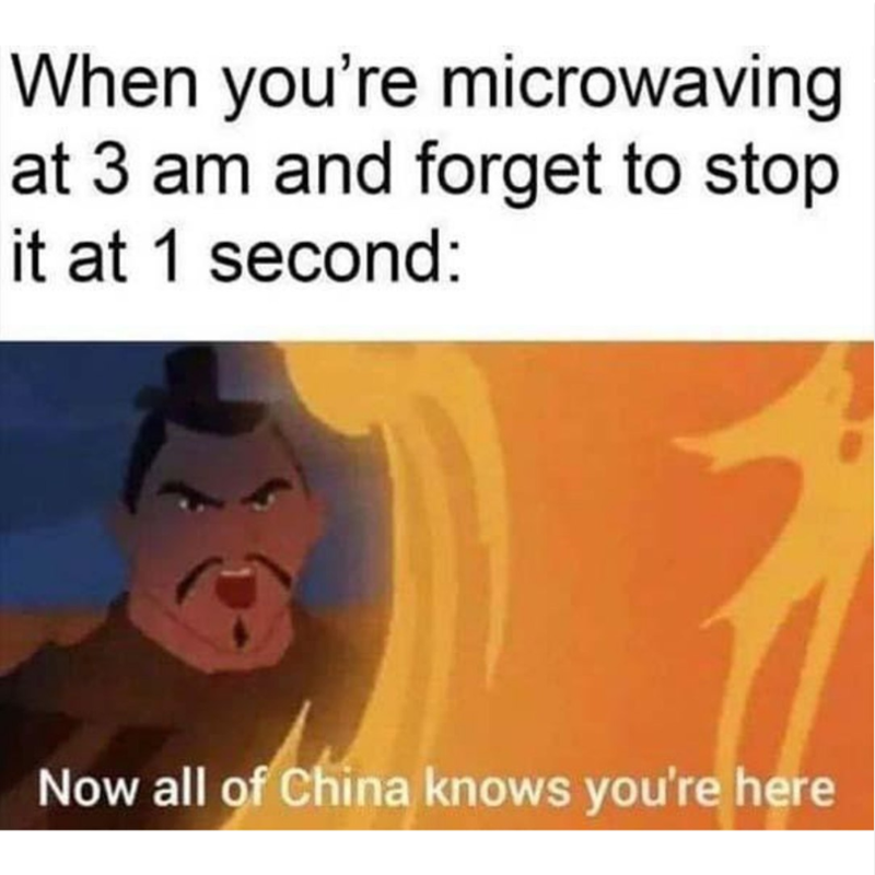 When you're microwaving at 3 am and forget to stop it at 1 second: Now all of China knows you're here