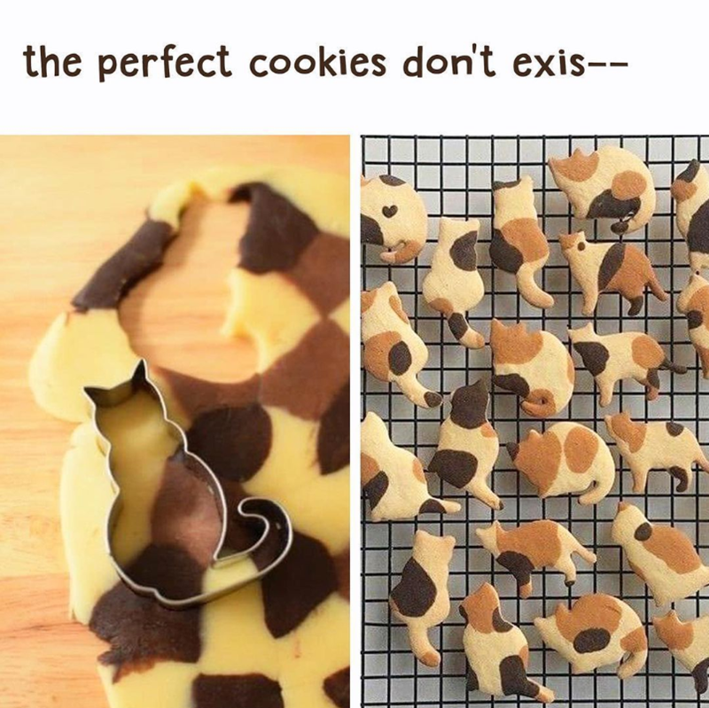 the perfect cookies don't exis-- t